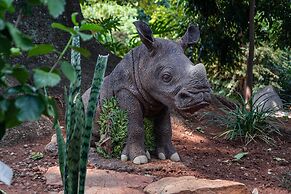 Graceland Conference & Lifestyle Centre