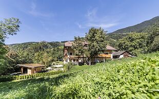 Hotel Weisses Rössl - Cavallino Bianco