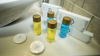 Link Hotel Tbilisi