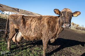 Vallakot Farm Guesthouse