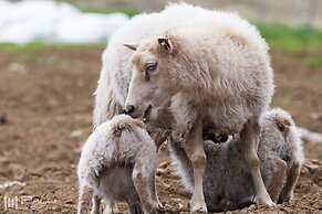 Vallakot Farm Guesthouse