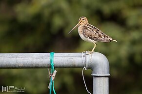 Vallakot Farm Guesthouse