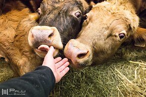 Vallakot Farm Guesthouse