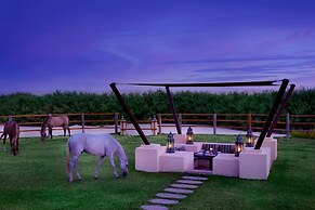 Al Wathba, a Luxury Collection Desert Resort & Spa, Abu Dhabi