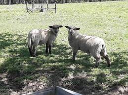 Estancia Renacimiento