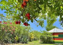 Judy House - Lewi's Backpacker Hostel