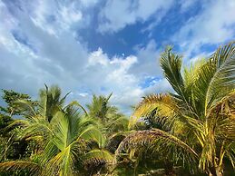Judy House - Lewi's Backpacker Hostel