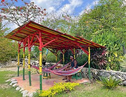 Judy House - Lewi's Backpacker Hostel