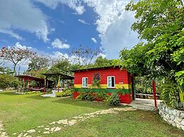 Judy House - Lewi's Backpacker Hostel