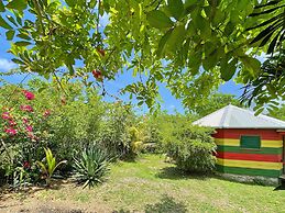 Judy House - Lewi's Backpacker Hostel
