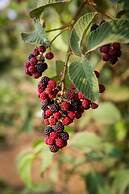 Eco Granja Sostenible Don Lolo