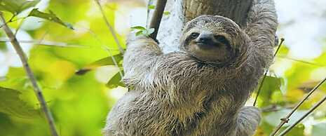 Eco Granja Sostenible Don Lolo