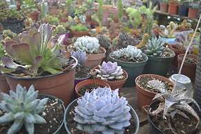 Eco Granja Sostenible Don Lolo