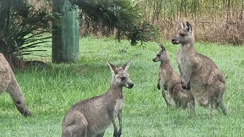 Vacy Hunter Valley Lodge