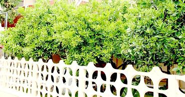 Bed and Breakfast L'Aranceto