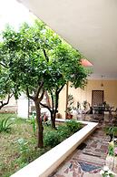 Bed and Breakfast L'Aranceto