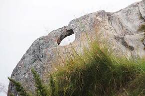 Frozen Woods Resorts