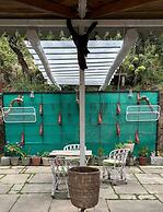 Frozen Woods Resorts