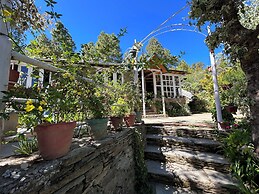 Frozen Woods Resorts