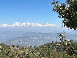 Frozen Woods Resorts