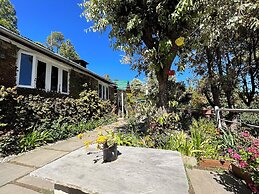 Frozen Woods Resorts