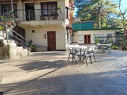 Vista de Pino