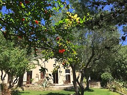 Villa Scinata Historic House