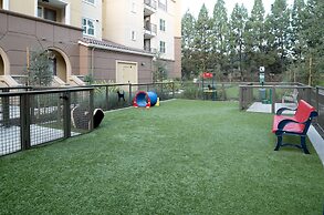 Bluebird Suites in Silicon Valley