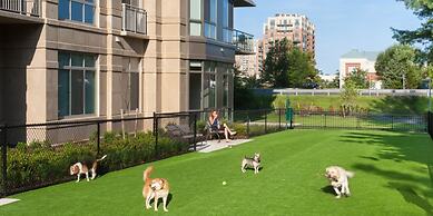 Bluebird Suites in Reston