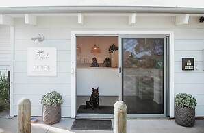 Surfside Cudmirrah Beach