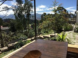 Bambu Sierra