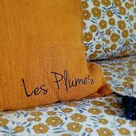 Les Plumes