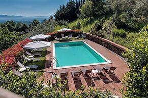 B&B Amoliv