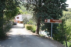 B&B Amoliv