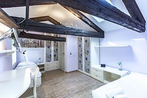 Attic Panoramic View R&R