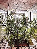 The Gatsby Apartment