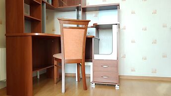 DeLuxe Apartment Dmitriya Ulianova