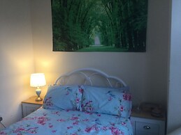 TDM Bachelot Lettings