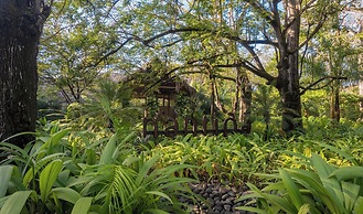 Hotel Nantipa - A Tico Beach Experience