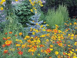 Vanadzor Armenia Health Resort