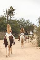 Mayan Monkey Los Cabos | Social Hotel