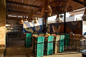 Mayan Monkey Los Cabos | Social Hotel