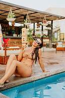 Mayan Monkey Los Cabos | Social Hotel