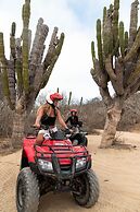 Mayan Monkey Los Cabos | Social Hotel