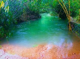 Vythiri Greens Resort