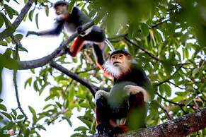 Nanu Garden House Boutique