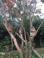 Nanu Garden House Boutique