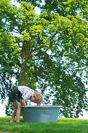 Plumbohms Echt-Harz-Apartments