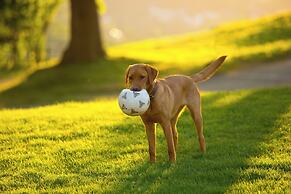 Plumbohms Echt-Harz-Apartments