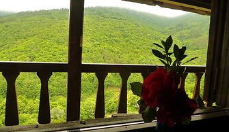 El Bosque de las Viñas